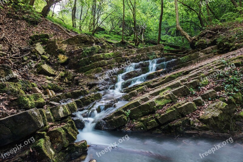 Forest Waterfall River Creek Environment