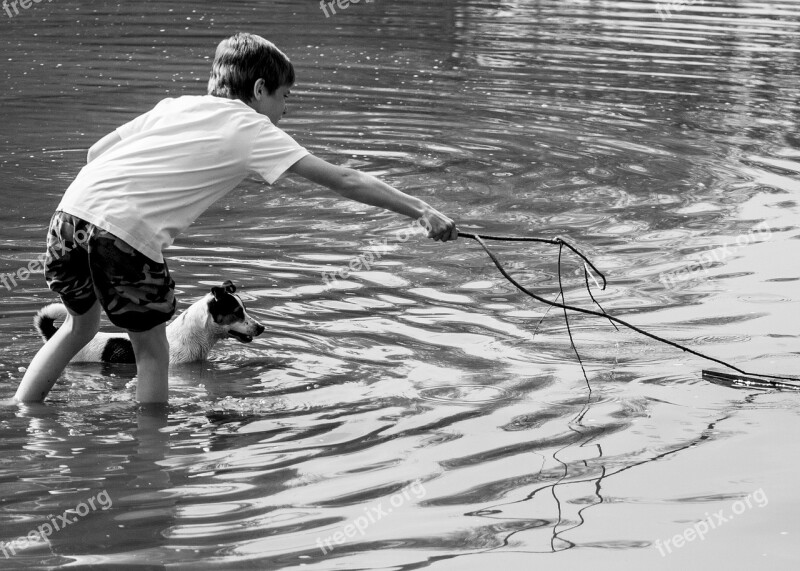 Play Dog Child Beach Dogs