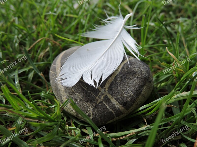 Stone Feather Opposites Close Up Free Photos