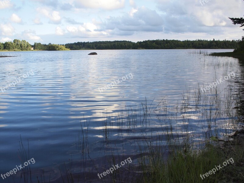 Lake Fishing Summer Relax Think