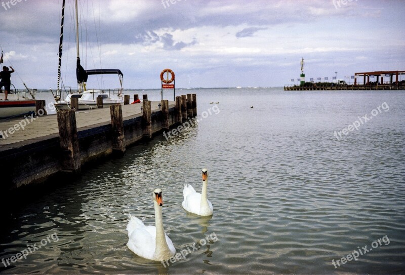 Swan Lake Ships Port Marine