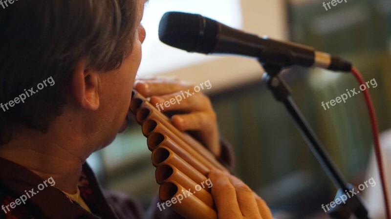 Pan Pan Flute Soloist Free Photos