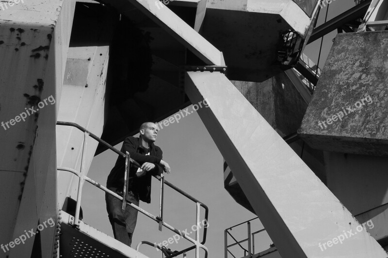 Port Black And White Hamburg Harbour Cranes Crane