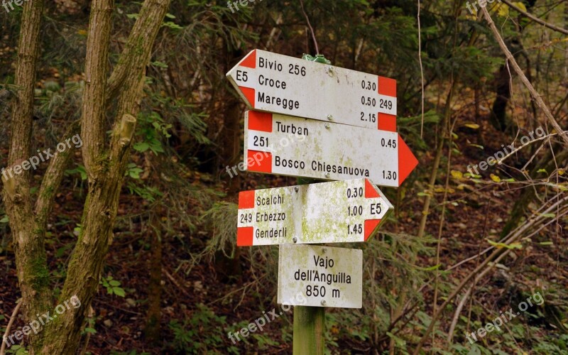 Signal Indications Excursion Trail Forest