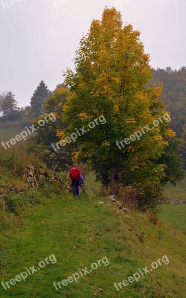 Excursion Autumn Trail Walk Trekking