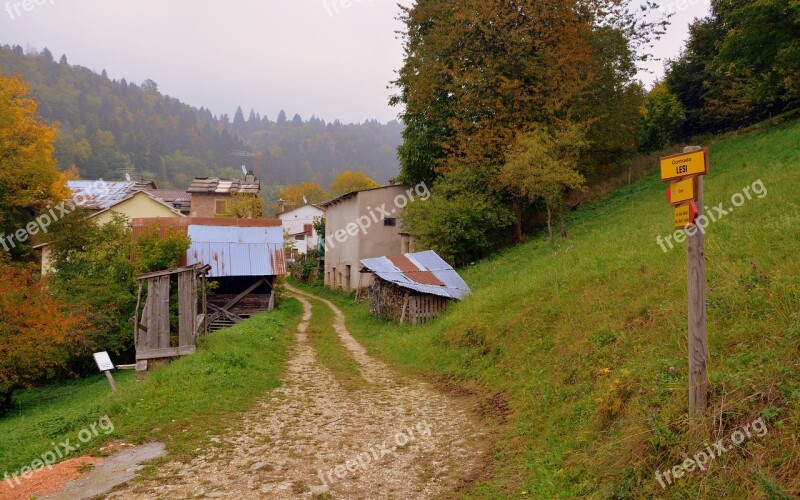 Borgo Trail Tree Autumn The European Path