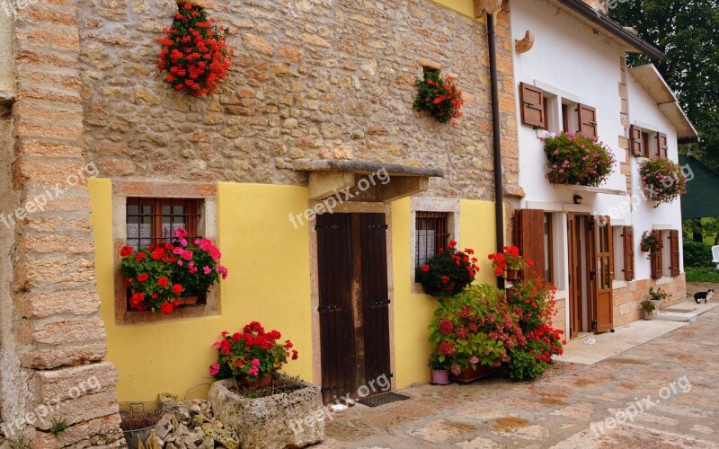 Flowers Window House Architecture Flower