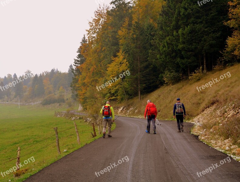 Excursion Walk Trekking Road Forest