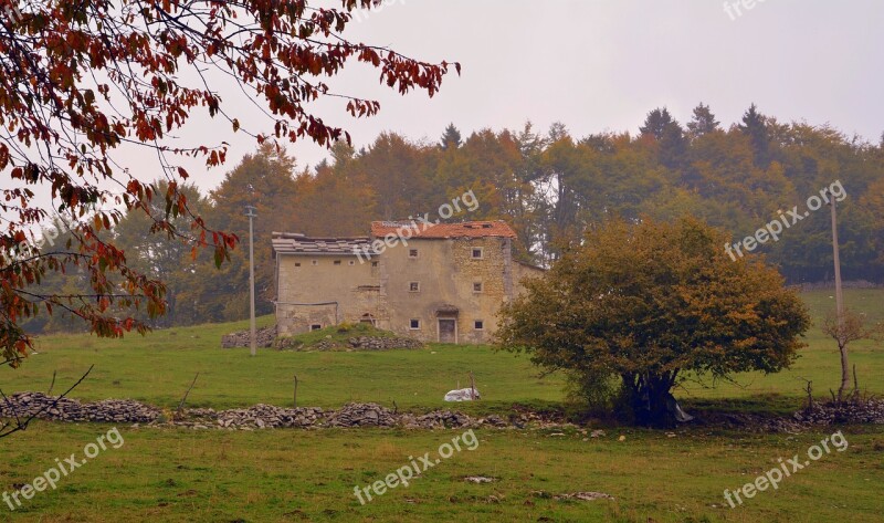 Tree Branch Autumn House Prato