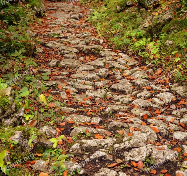 Trail Stones Autumn Sassi Excursion