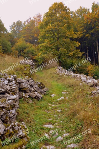 Trail Stones Grass Sassi Forest