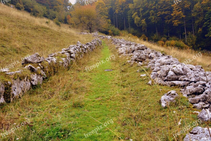 Trail Stones Grass Sassi Forest