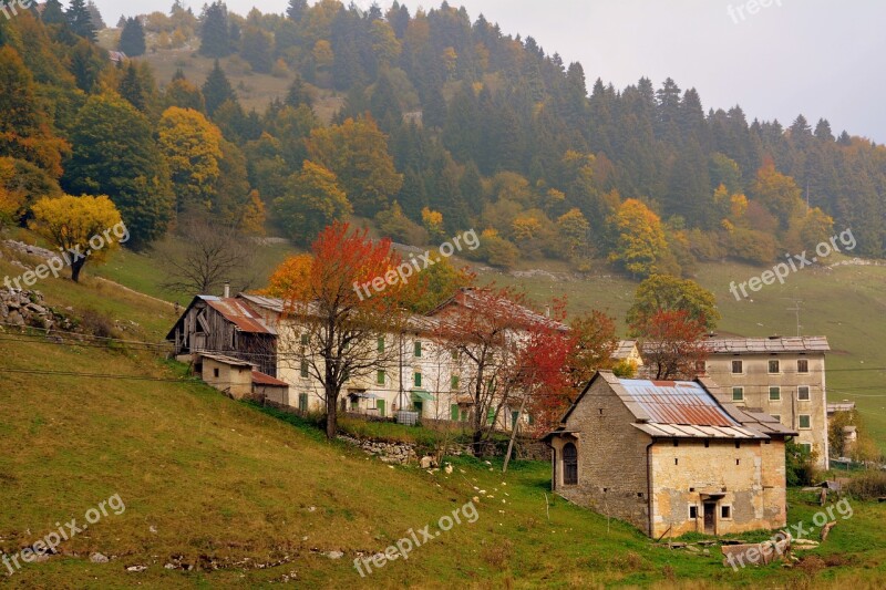 Borgo Zamberlini Mountain Forest Trees