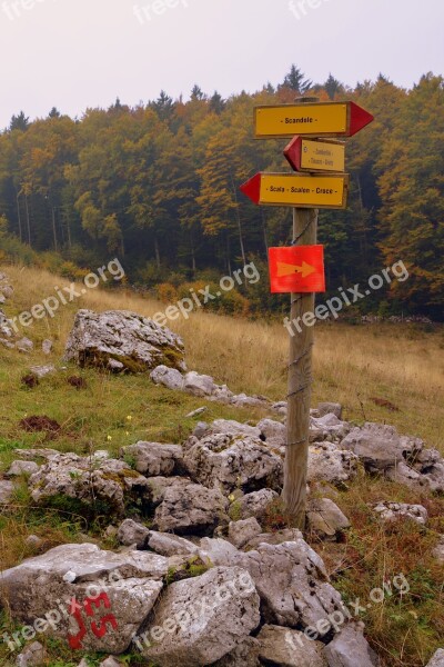 Signal Indications Excursion Trail Forest