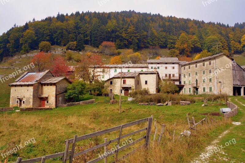 Borgo Zamberlini Mountain Forest Trees