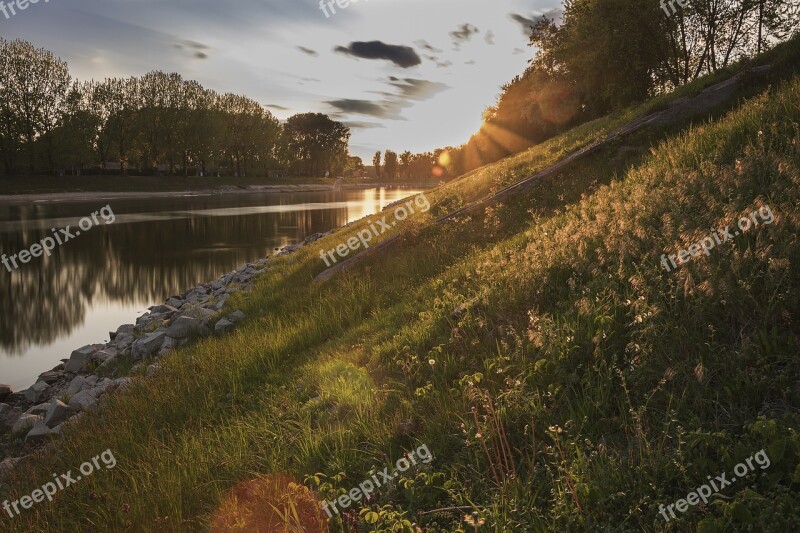 Dawn Dusk Grass Nature Outdoors