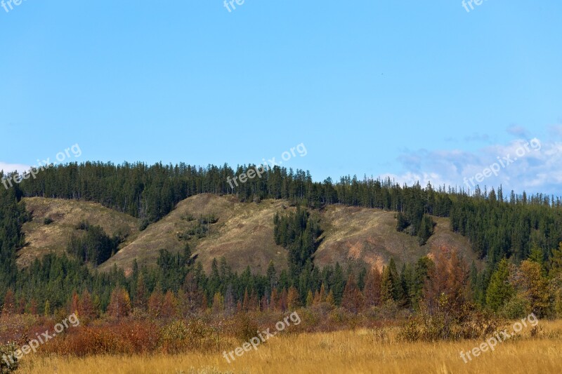 Nipple Autumn Sky Free Photos