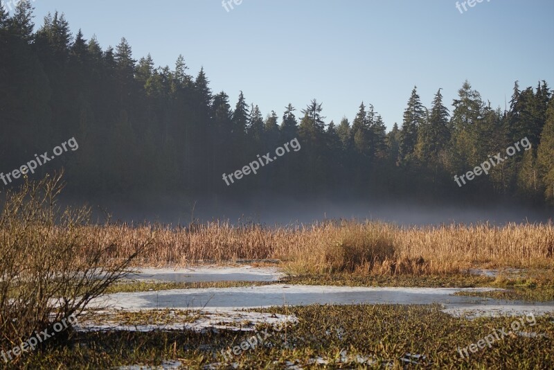 Lake Forest Water Mist Natural Free Photos