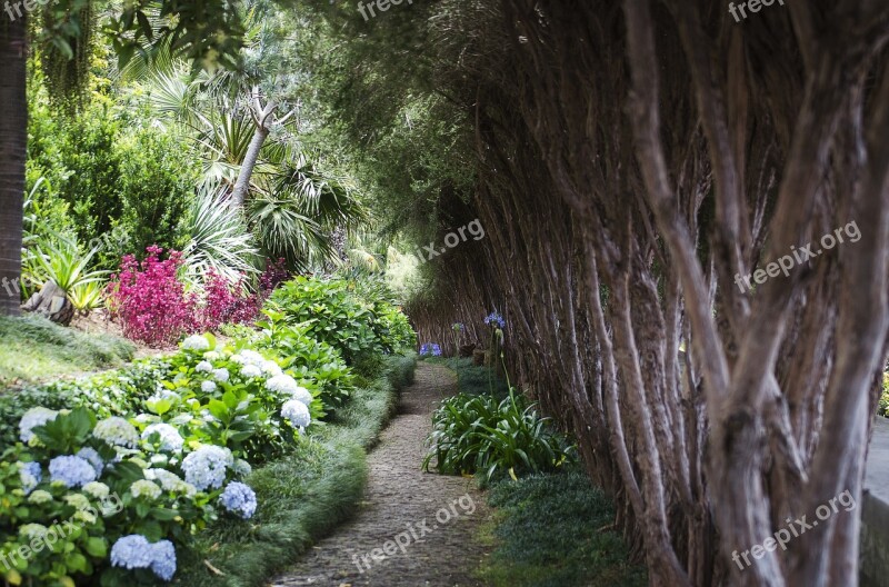 Madera Portugal Funchal Monte Garden