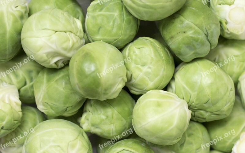 Brussels Sprouts Brussels Carbon Rosenkoehlchen Vegetables Sprouts Cabbage