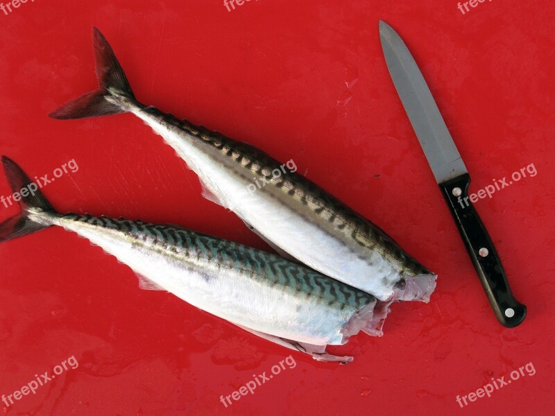 Fish Fiskrensning Cutting Board Mackerel Free Photos