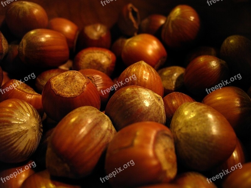 Nuts Hazelnuts Christmas Free Photos