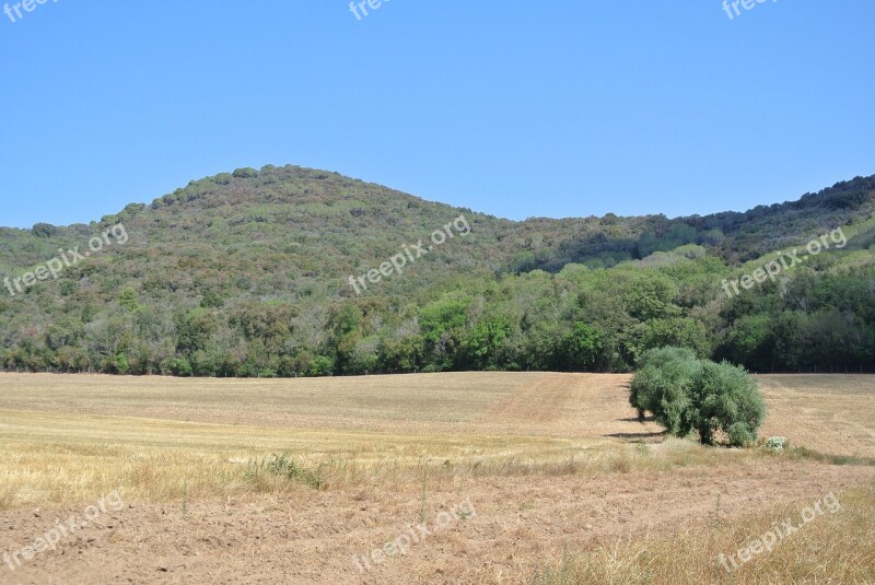 Nature Tuscany Trees Hills Landscape