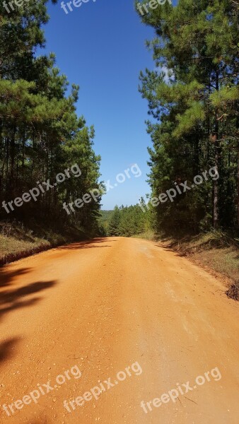 Road Way Dirt Path Direction