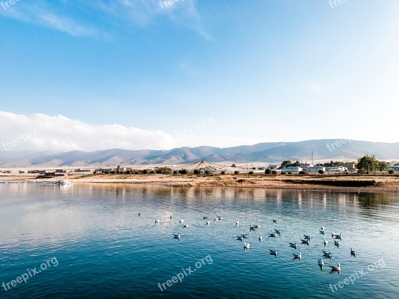 Qinghai Lake Lake Mountains And Rivers Water Birds Duck