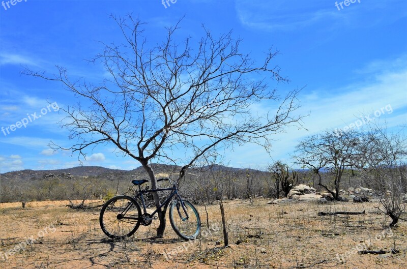 Northeast The Landscape Of The Northeast Backcountry Cariri Bike