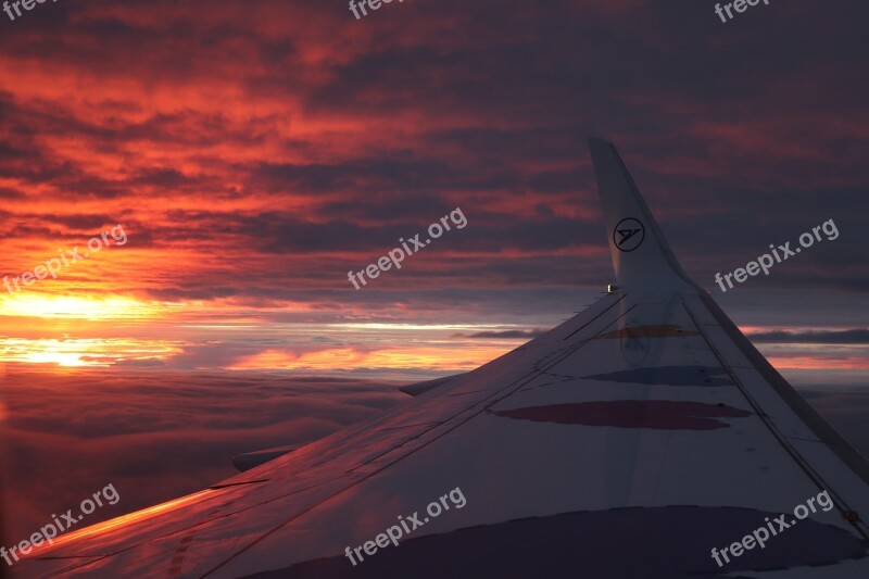 Sun Aircraft Clouds Sky Window