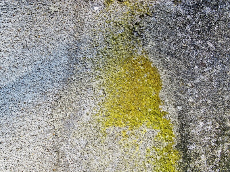 Concrete Wall Background Structure Texture Dirty