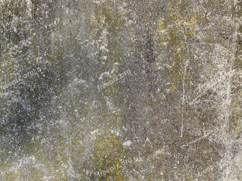 Concrete Wall Background Structure Texture Dirty