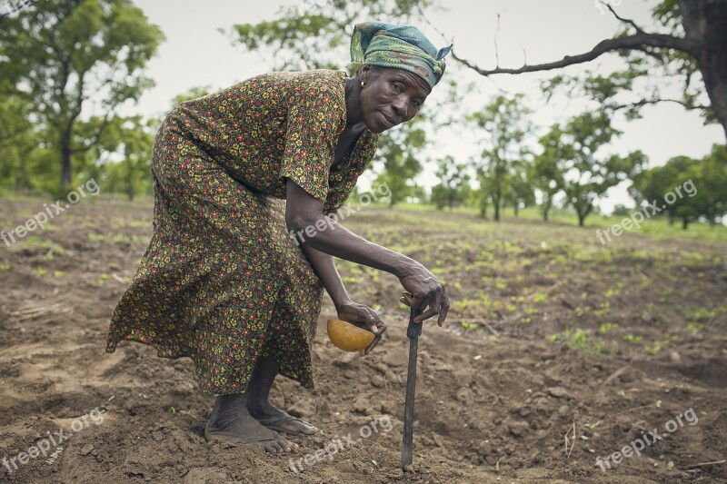 Farmer Africa Woman A Woman On Farm Planting