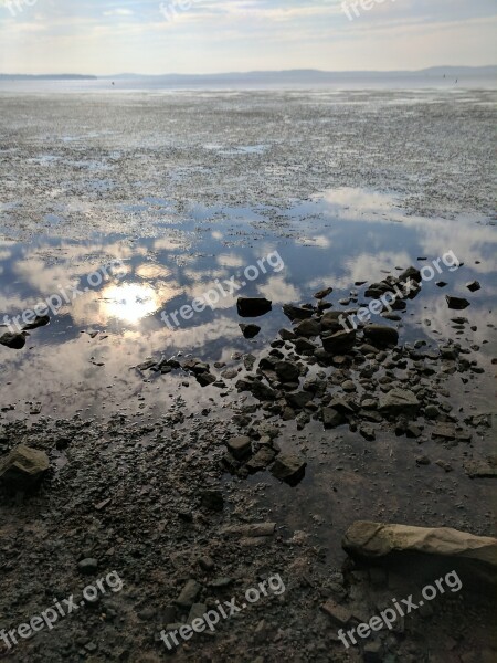 Chesapeake Bay Low Tide Water Maryland Summer