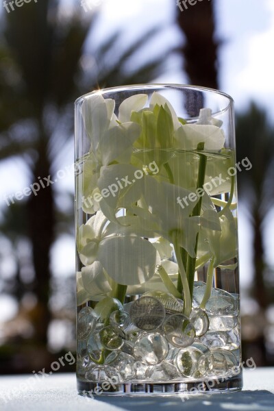 Event Photography Centerpiece Event Flowers Table