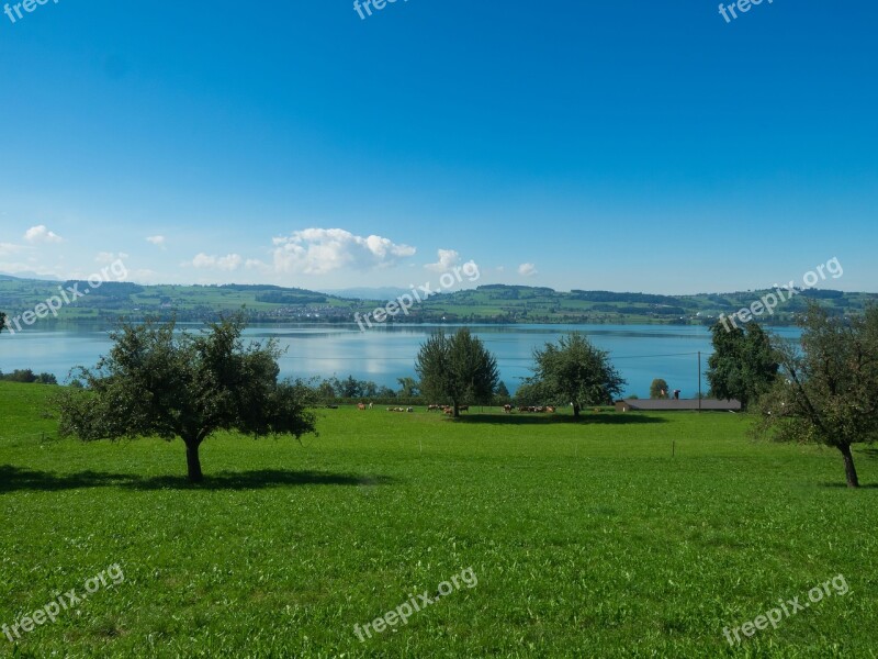 Sempachersee Sursee Switzerland Lake Sempach