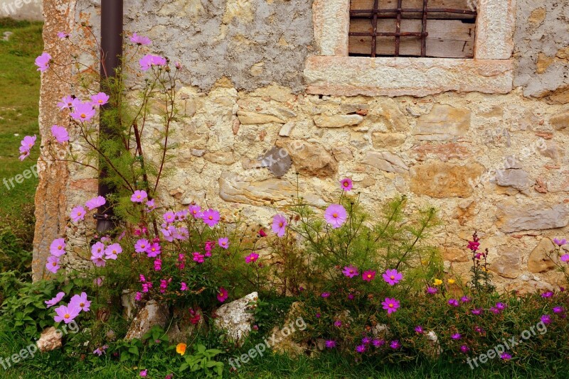 Corner House Flowers Stone Wall