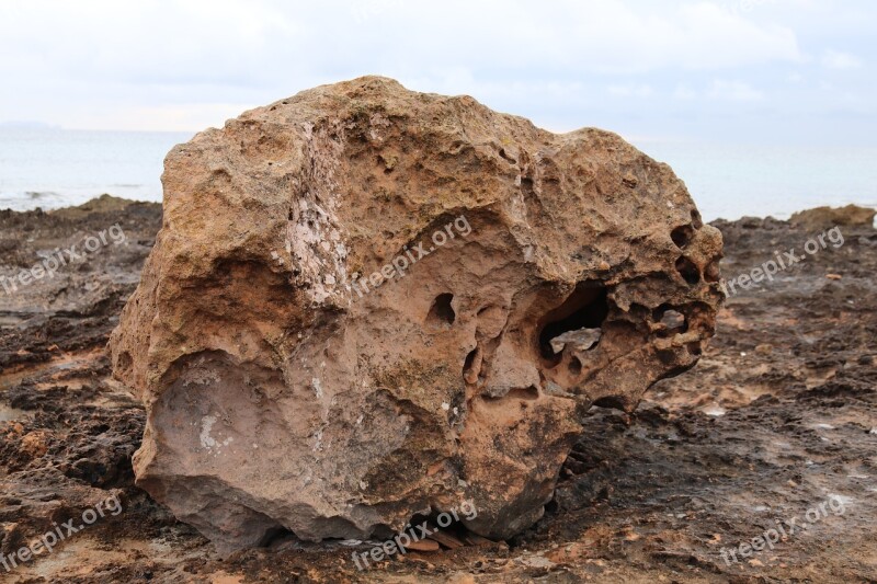 Rock Stone Coast Rocks Natural Stone