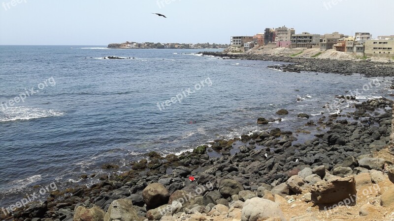 Dakar Senegal Bay Carp Almadie Free Photos