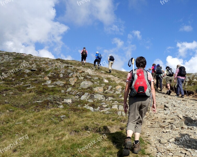 Hiking Deer Wall Family Lienz Dolomites Free Photos