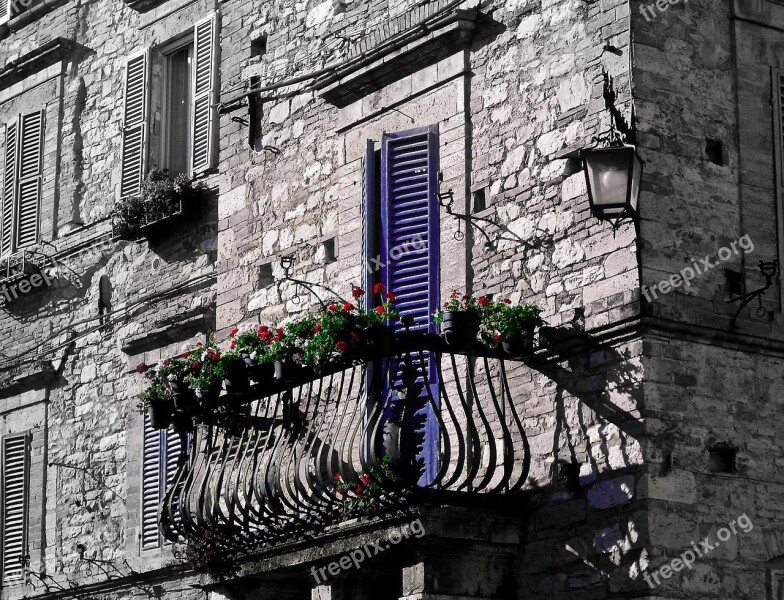 Assisi Umbria Italy Balcony Flowers