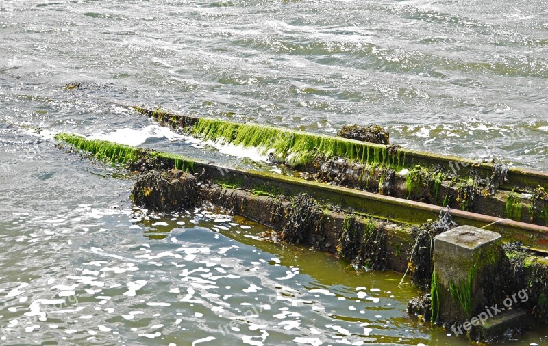 Old Slipway Unused Seaweed Wave Sea