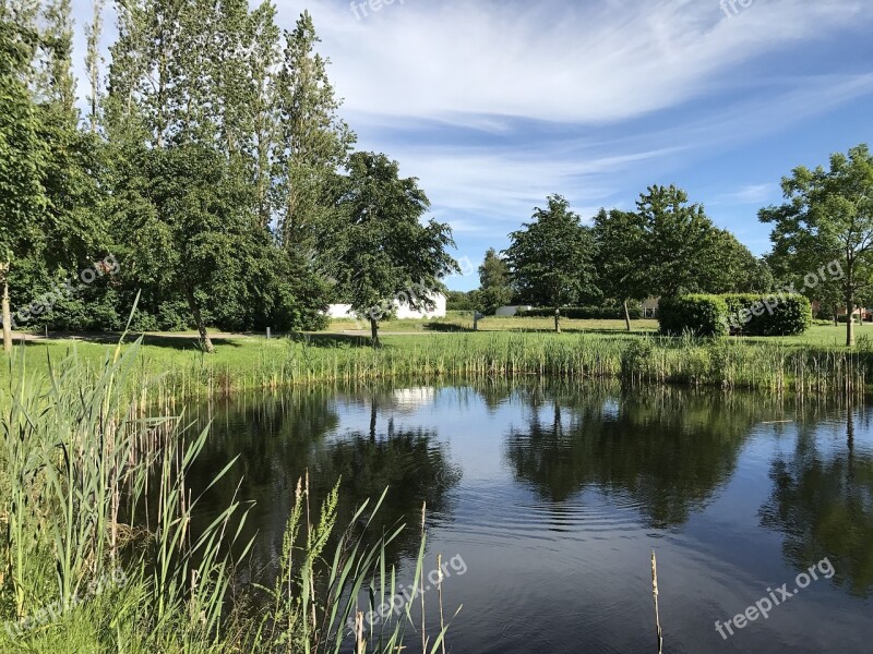 Lake Siv The Duck Pond Free Photos