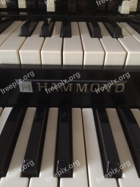 Hammond Organ Keys Free Photos