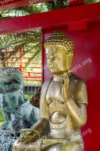 Buddha Sculpture The Statue Statue The Figurine