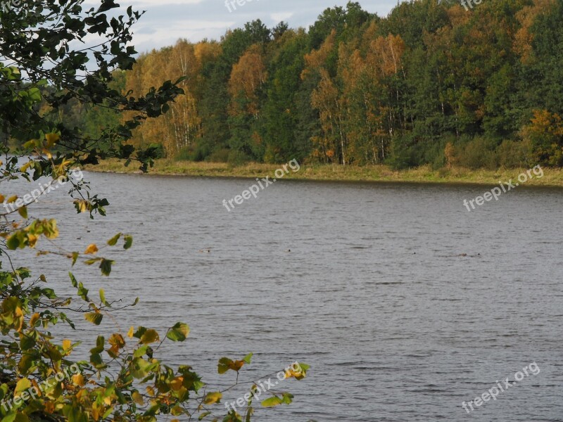 Autumn Lake Leaves Water Color