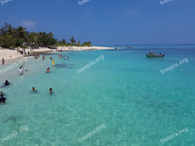 Mystery Island South Pacific Island Free Photos