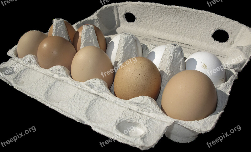 Egg Hen's Egg Egg Carton Lots Of Eggs Egg Packaging