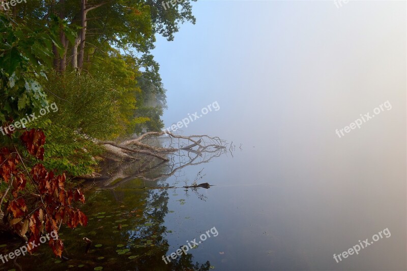 Lake Fog Rock Tree Branch